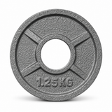 Hantelscheiben Guss 50 mm