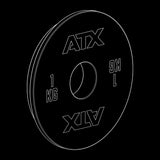 ATX® Magnetic Add-Weight / Magnetgewichte Isoansicht
