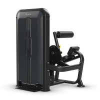 Rückenstrecker - Vision Fitness Keystone schräg hinten