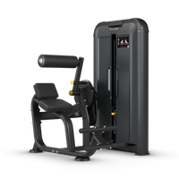 Rückenstrecker - Vision Fitness Keystone