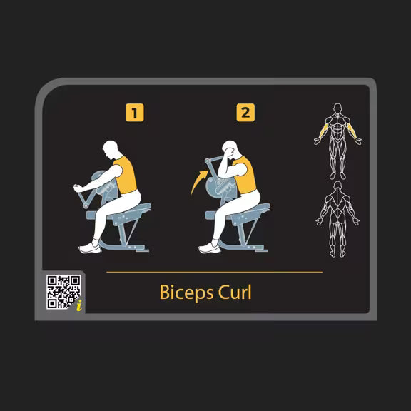 Bizeps-Curl-Maschine – Vision Fitness Keystone