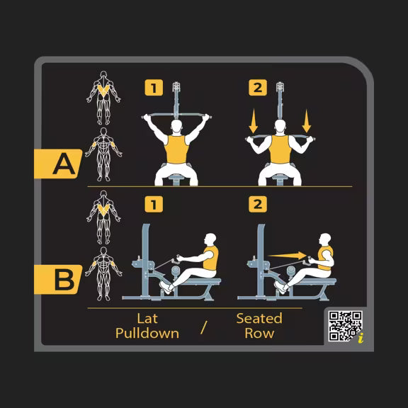 Lat Pulldown / Seated Row - Vision Fitness