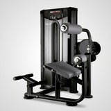 Ruckenmaschine Lower Back Machine -BH Fitness