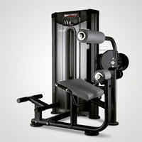Ruckenmaschine Lower Back Machine -BH Fitness