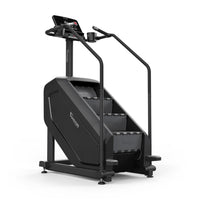 Treppensteiger - Vision Fitness Stairclimber Endlostreppe