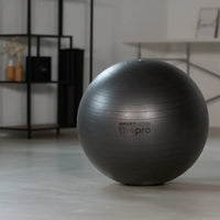 Gymnastikball | Original Pezziball Komplettansicht