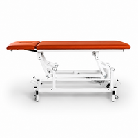 Therapieliege Elektro Basic flach