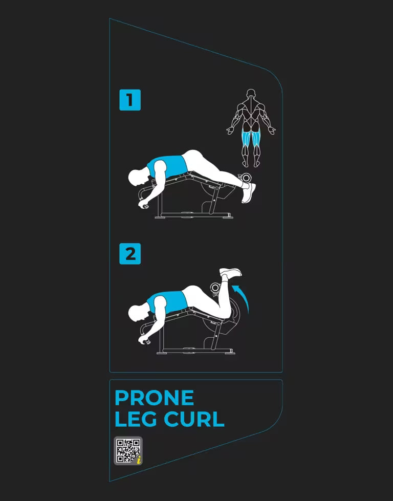 Prone Leg Curl Stack Weight - Vision Fitness