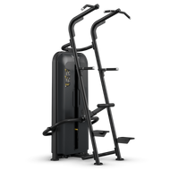 Chin / Dip Assist- Vision Fitness